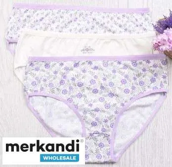 DMY Invierte en calzoncillos de mujer en paquetes de 3 con una mezcla de paquetes de lencería que ofrecen una excelente calidad 